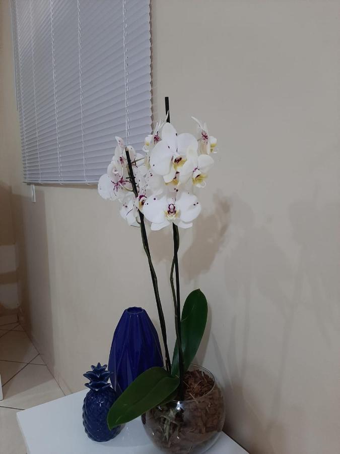 Appartamento Divino Lugar Olímpia